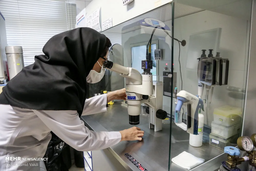An Iranian researcher